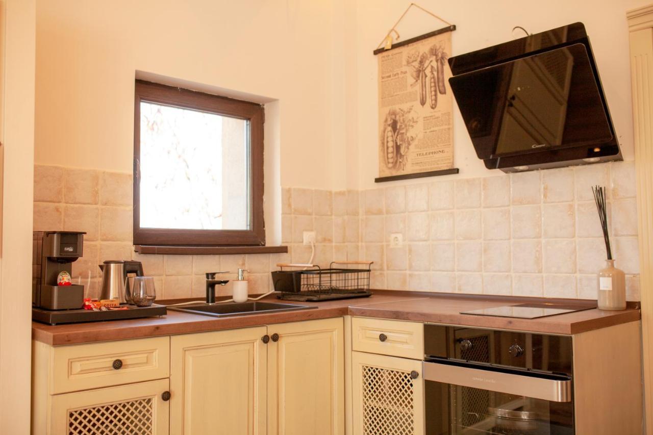 Private Villa Gergana Szapareva Banja Kültér fotó